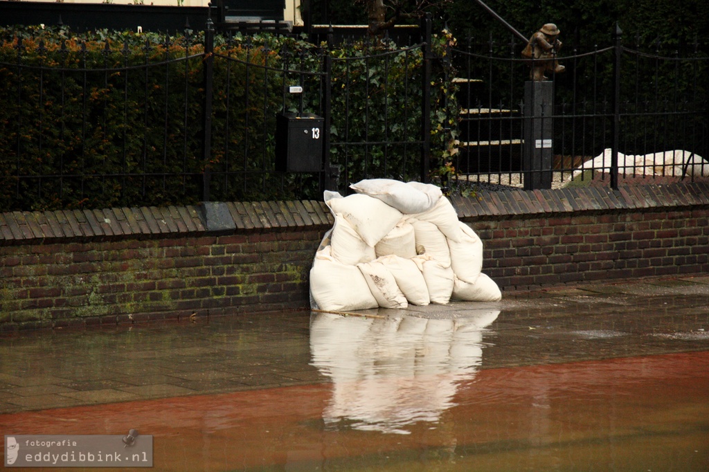 2011-01-14 Hoog water, Deventer 008 (1)